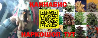 прущие крисы Апшеронск