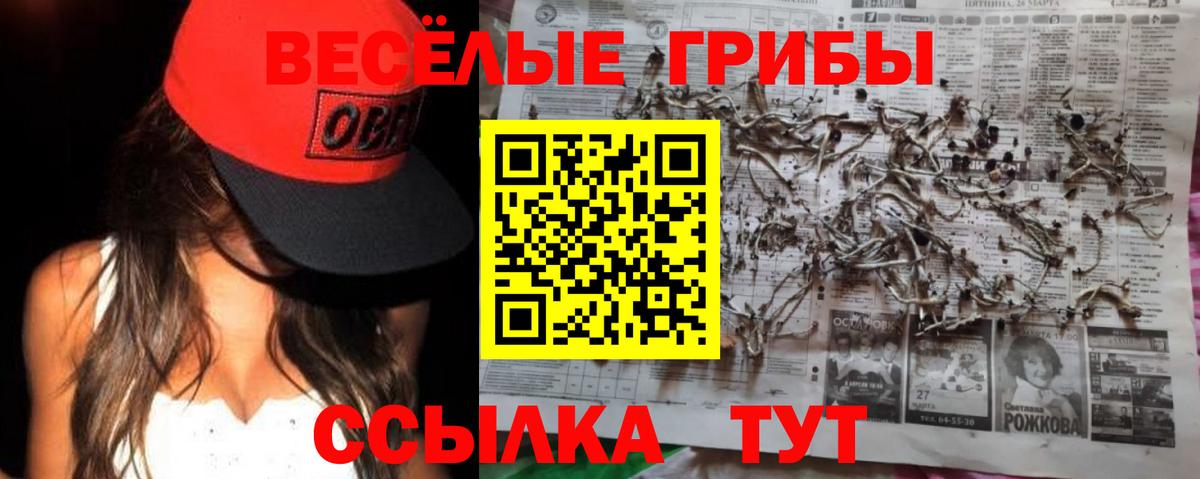 Галлюциногенные грибы Psilocybe  Вход с VPN  Вязники  наркошоп  Псилоцибиновые грибы MAGIC MUSHROOMS 